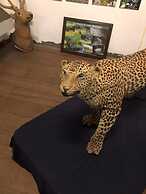 Nuwara Eliya Redrock Guest