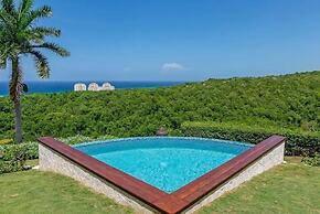 Nianna Luxurious Villa