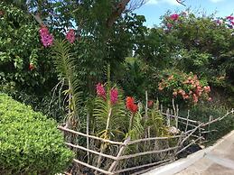 Nianna Luxurious Villa