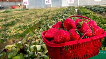 InterContinental Shanghai Wonderland by IHG