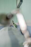 The Druidstone Hotel