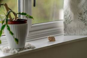 The Druidstone Hotel