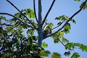 Antares Amazon Lodge