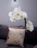 The Lodges at Barra Castle