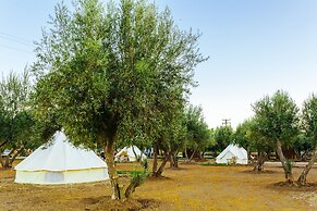 Guadalupe Valle Glamping