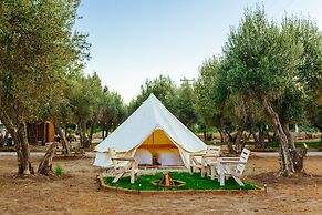 Guadalupe Valle Glamping