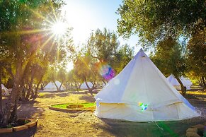 Guadalupe Valle Glamping