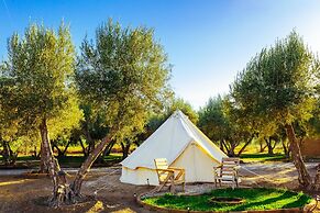Guadalupe Valle Glamping