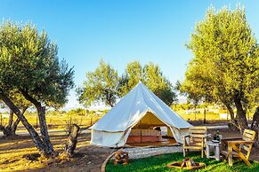 Guadalupe Valle Glamping