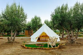 Guadalupe Valle Glamping