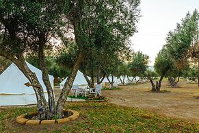 Guadalupe Valle Glamping