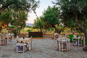 Guadalupe Valle Glamping