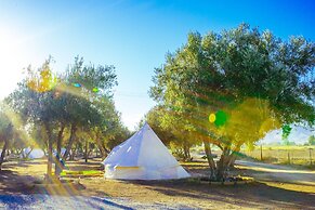 Guadalupe Valle Glamping