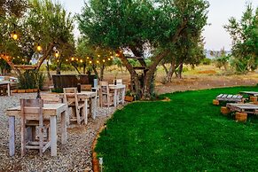 Guadalupe Valle Glamping