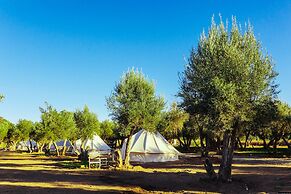 Guadalupe Valle Glamping