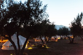 Guadalupe Valle Glamping