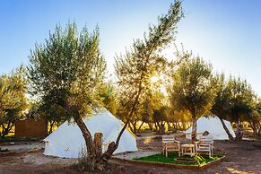 Guadalupe Valle Glamping