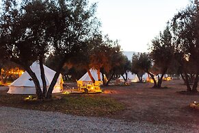 Guadalupe Valle Glamping