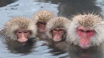 Fudoson-no-Yu Oyado Kotobuki