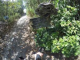 Flower and Green Collection