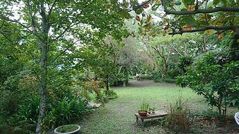 Flower and Green Collection