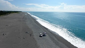 Flower and Green Collection