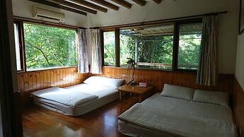 Flower and Green Collection