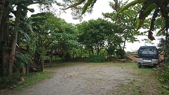 Flower and Green Collection