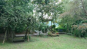 Flower and Green Collection