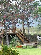 Flower and Green Collection