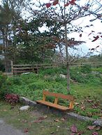 Flower and Green Collection