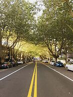 Leafy Street Apartment Central Auckland