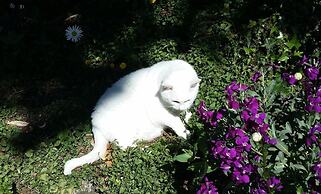 Le Logis de la Lande