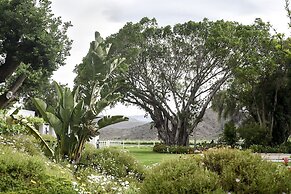 Green Olive Guesthouse