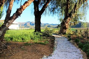 Green Olive Guesthouse