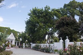 Green Olive Guesthouse