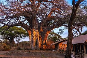 Baobab Tented Camp