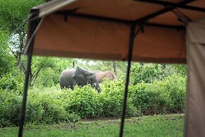 Baobab Tented Camp