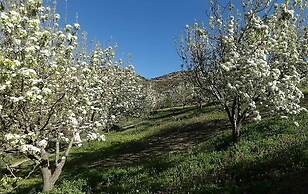 Arodamos Traditional Houses