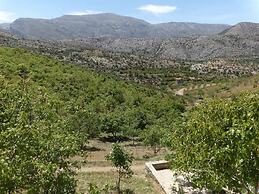 Arodamos Traditional Houses