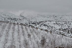 Arodamos Traditional Houses