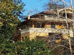 B&B Tribunale