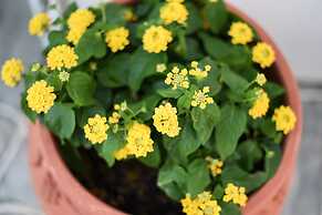 Blue Fish Apartments