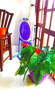 Fresh Air Villa Guest House