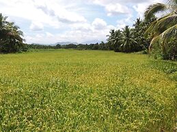 Milk House Cottage Udawalawe