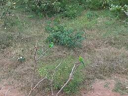 Milk House Cottage Udawalawe