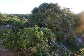 Villa Hortensia
