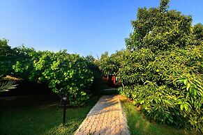 Yildiz Pension Bungalows