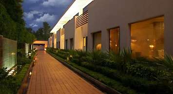 The Ocean Pearl Gardenia