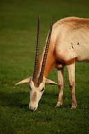 Brijuni Hotel Neptun